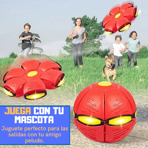 ⚽ Pelota Voladora Con Luces Mascotas - Flyball™ ⚽